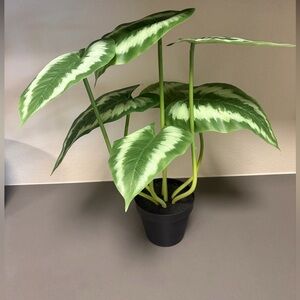 Pottery Barn Faux Leafy Green Plant, Like New